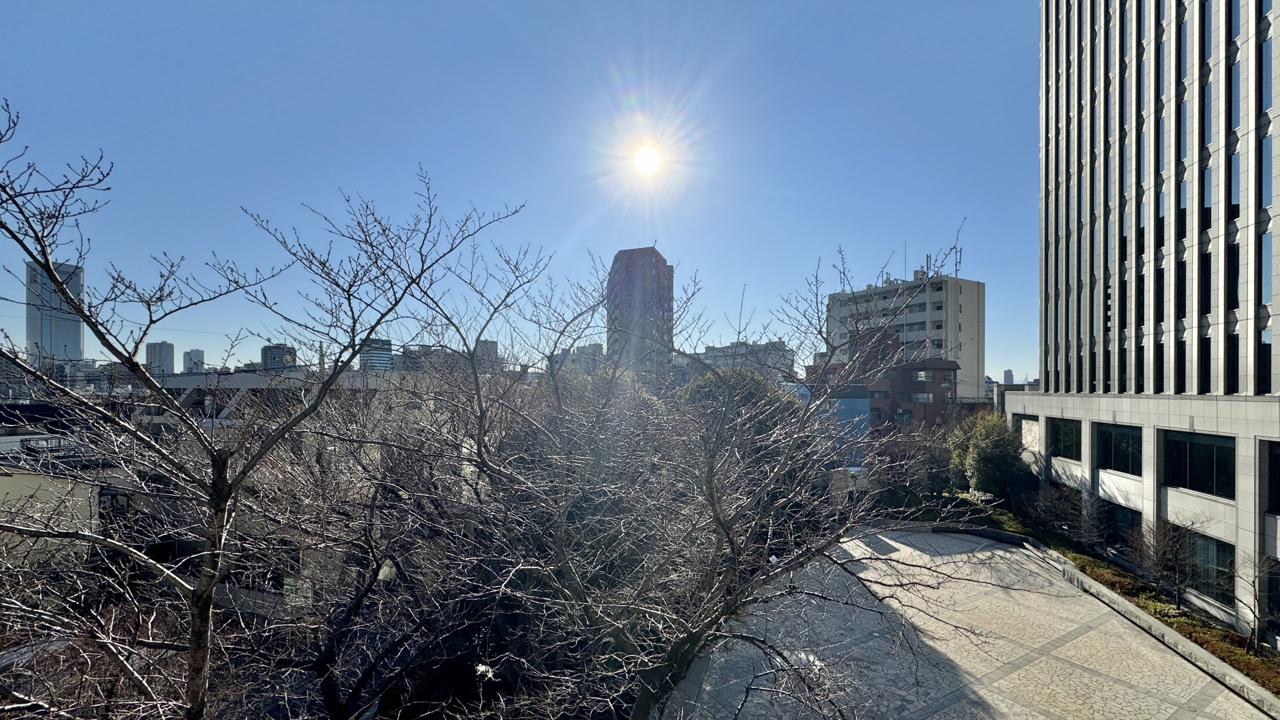 ハーモニーハイツ－中野区本町１丁目－